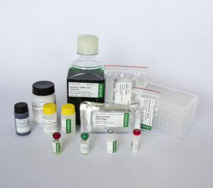 PVY polyclonal Complete kit 5000