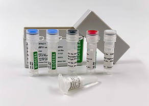 qPCR PVA/PVM kit 96/25